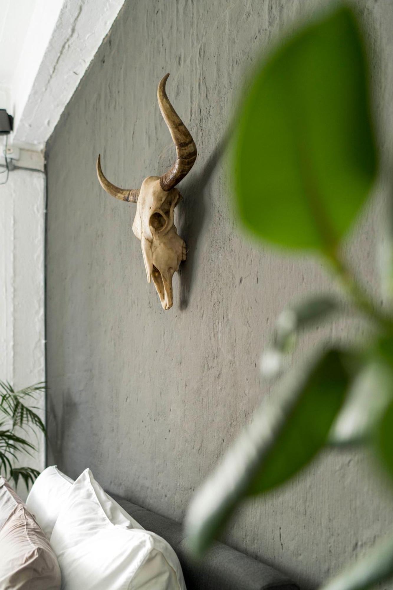 Urban Fox Penthouse By Curiocity Johannesburg Eksteriør bilde